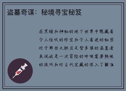 盗墓奇谋：秘境寻宝秘笈